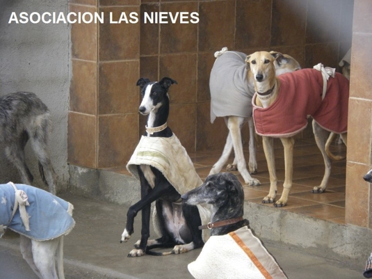 Donaciones