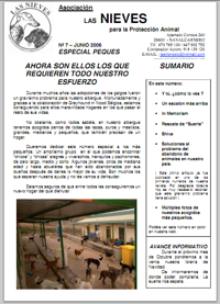 revista